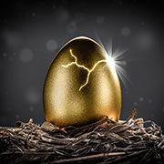 Nest Egg